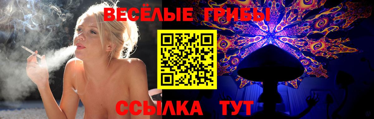 Псилоцибиновые грибы GOLDEN TEACHER Электрогорск